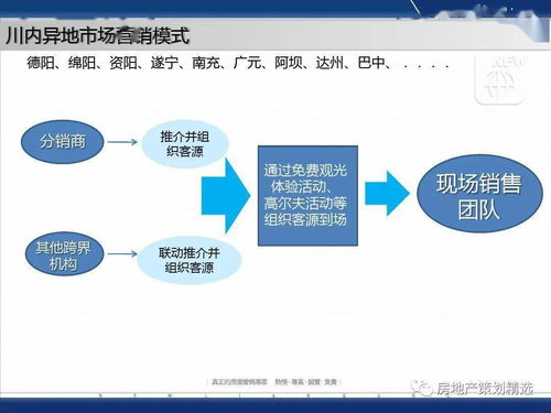 成都藍(lán)光地產(chǎn)觀嶺國(guó)際營(yíng)銷方案報(bào)告